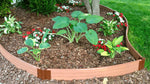 Photo 2 Classic Sienna / 1" Profile / 16'