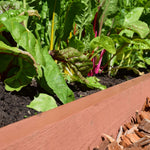 Tool-Free Straight Landscape Edging Kit