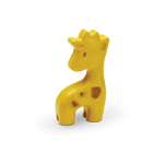 Photo 13 Giraffe - 6135